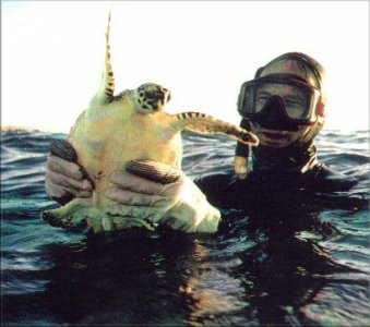 Joe diving